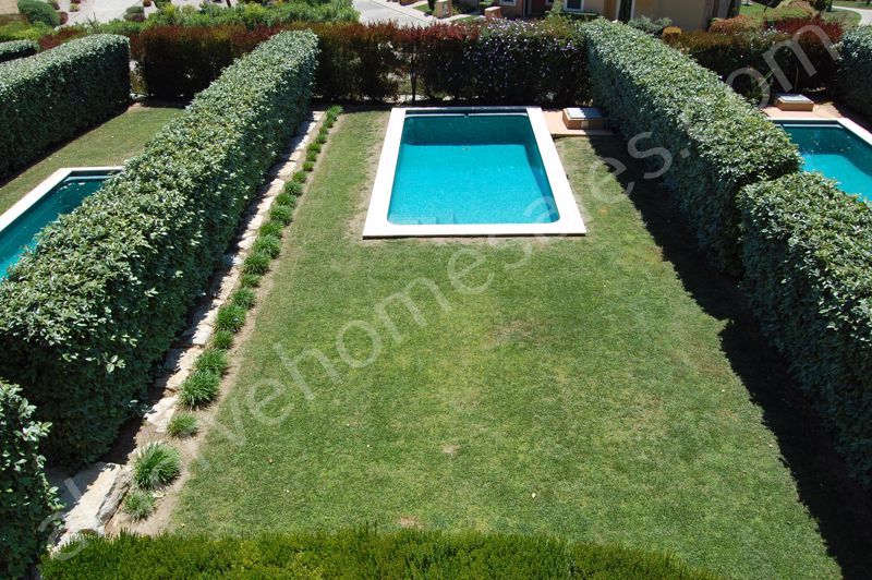 Garden and pool